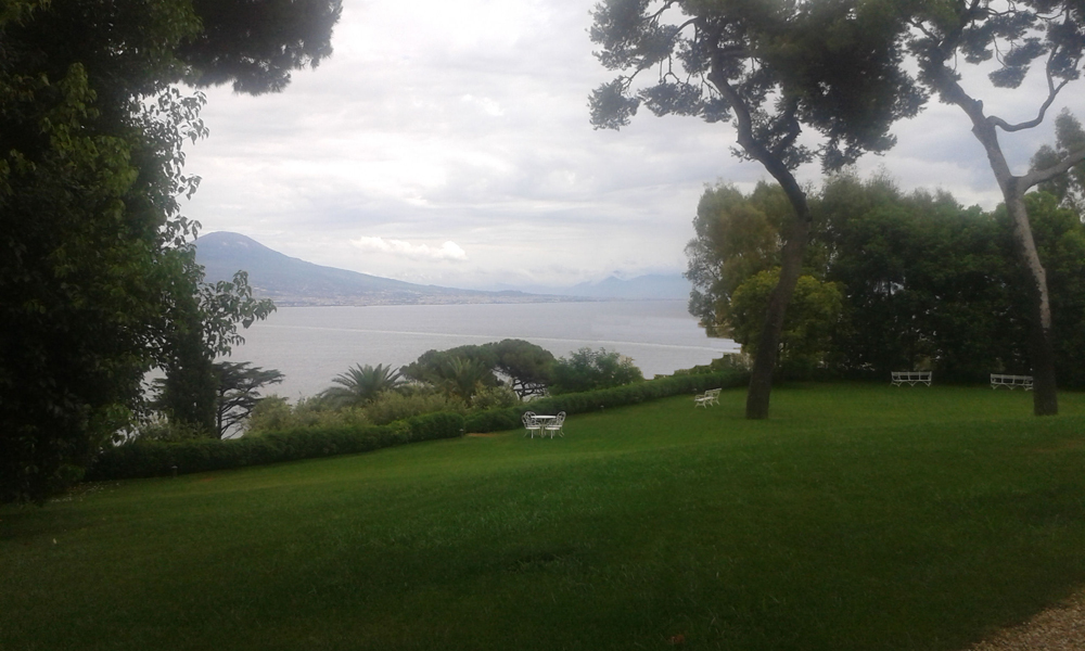 Veduta del giardino