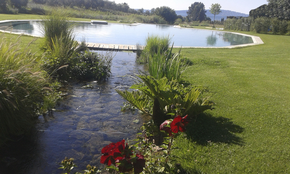 Veduta del giardino